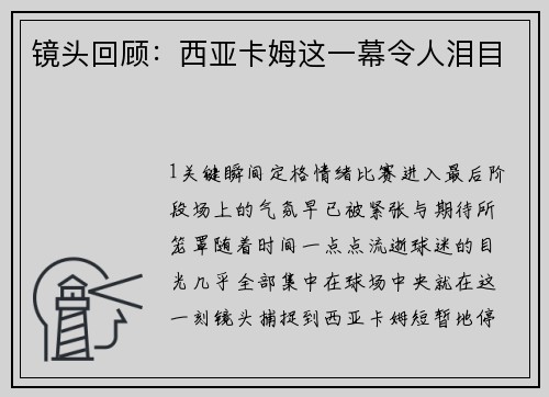 镜头回顾：西亚卡姆这一幕令人泪目